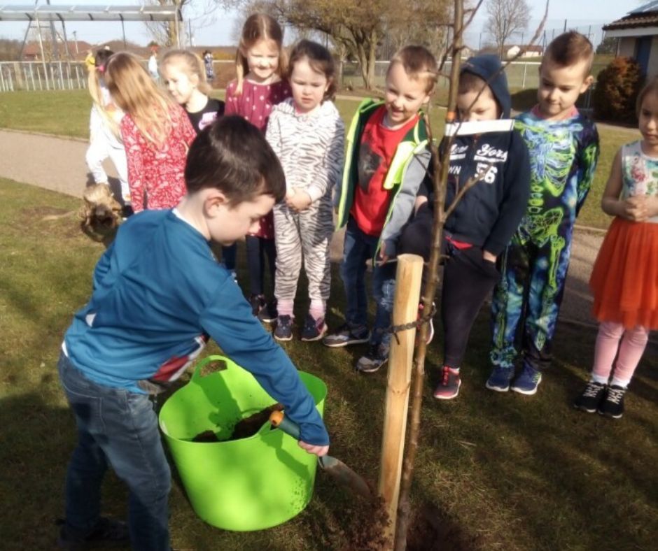 Appletree planting by EcoCommittee